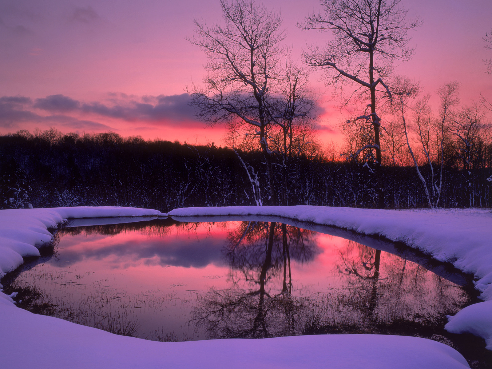 Tranquil Sunrise Mount Washington State Forest Massachusetts