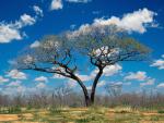 Shakawe Botswana