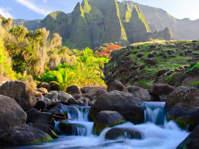 Kalalau Valley Stream, Kauai, Hawaii