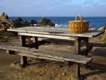 Picnic by the Pacific, San Francisco, California
