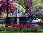 Public Garden, Boston, Massachusetts