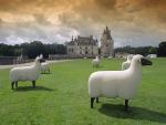 Sheep Sculptures, Chenonceau Castle, France