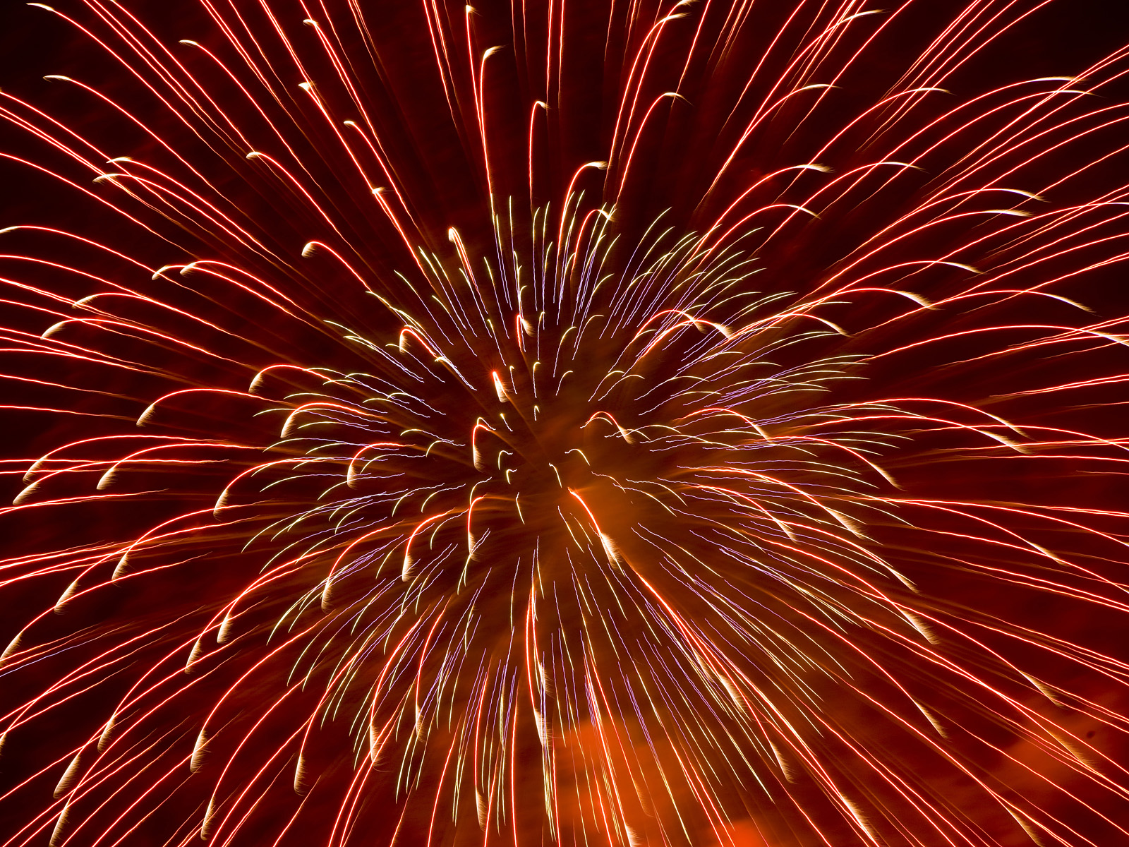 Fireworks Show