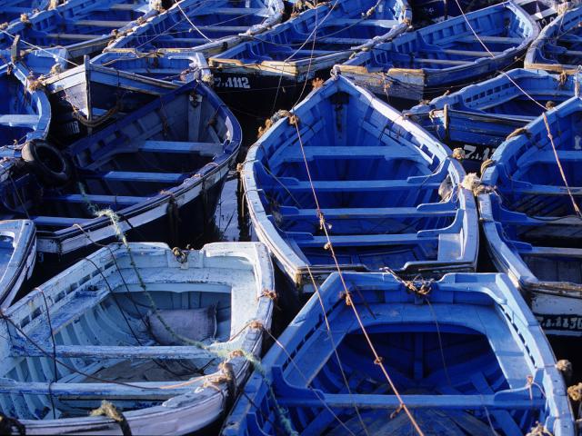 Fishing Boats, Essaouira, Morocco