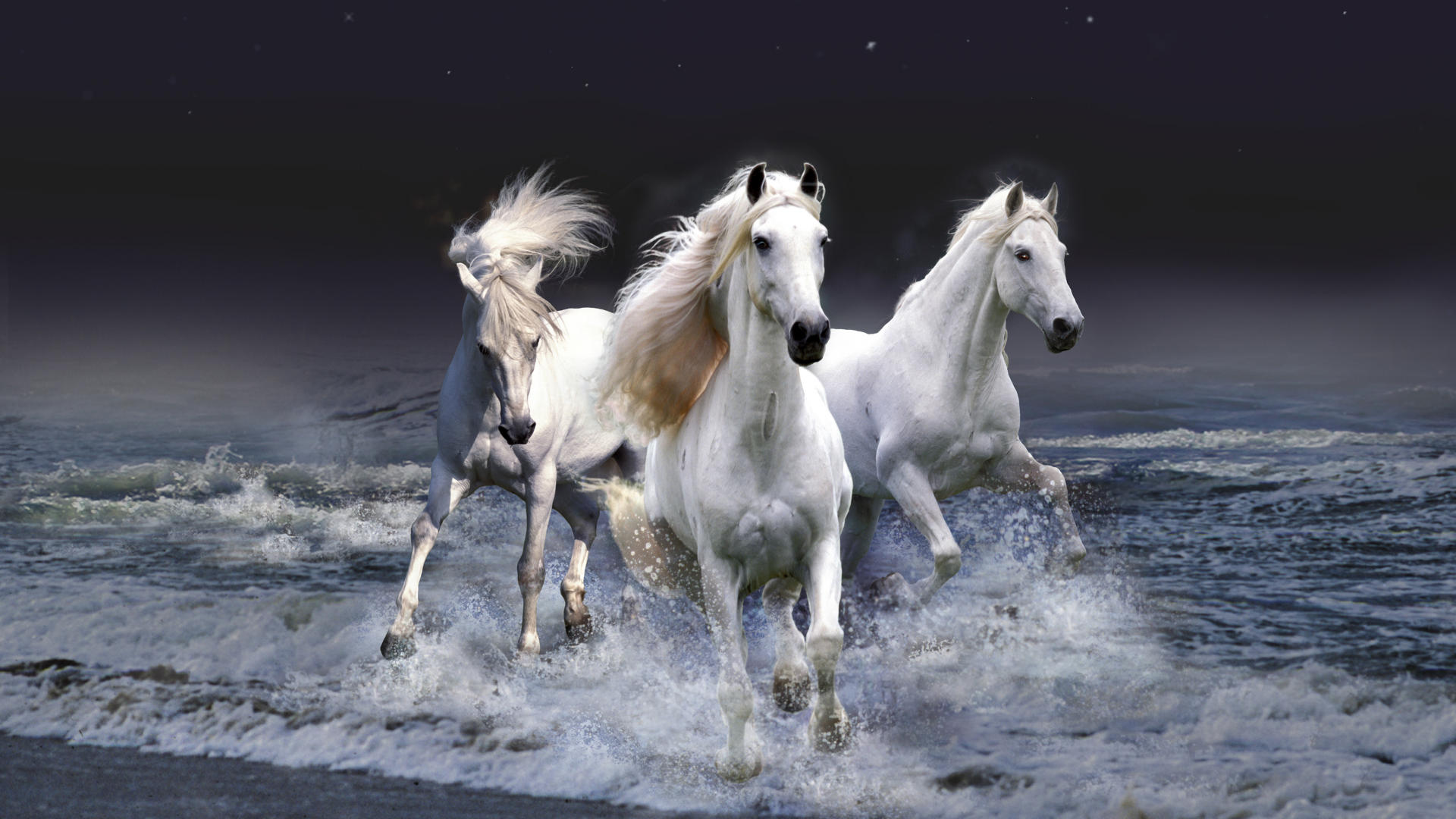 Mystic Horses