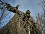 A_Scary_Scarecrow