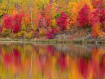 Autumn_Reflections_Gryphon_Lake_Espanola_Ontario