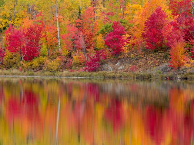 Autumn_Reflections_Gryphon_Lake_Espanola_Ontario