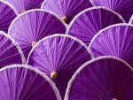 Bor_Sang_Umbrellas_Chiang_Mai_City_Thailand