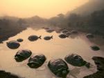 Giant_Tortoises_in_Pond_on_Alcedo_Volcano_Galapagos_Islands_Ecuador