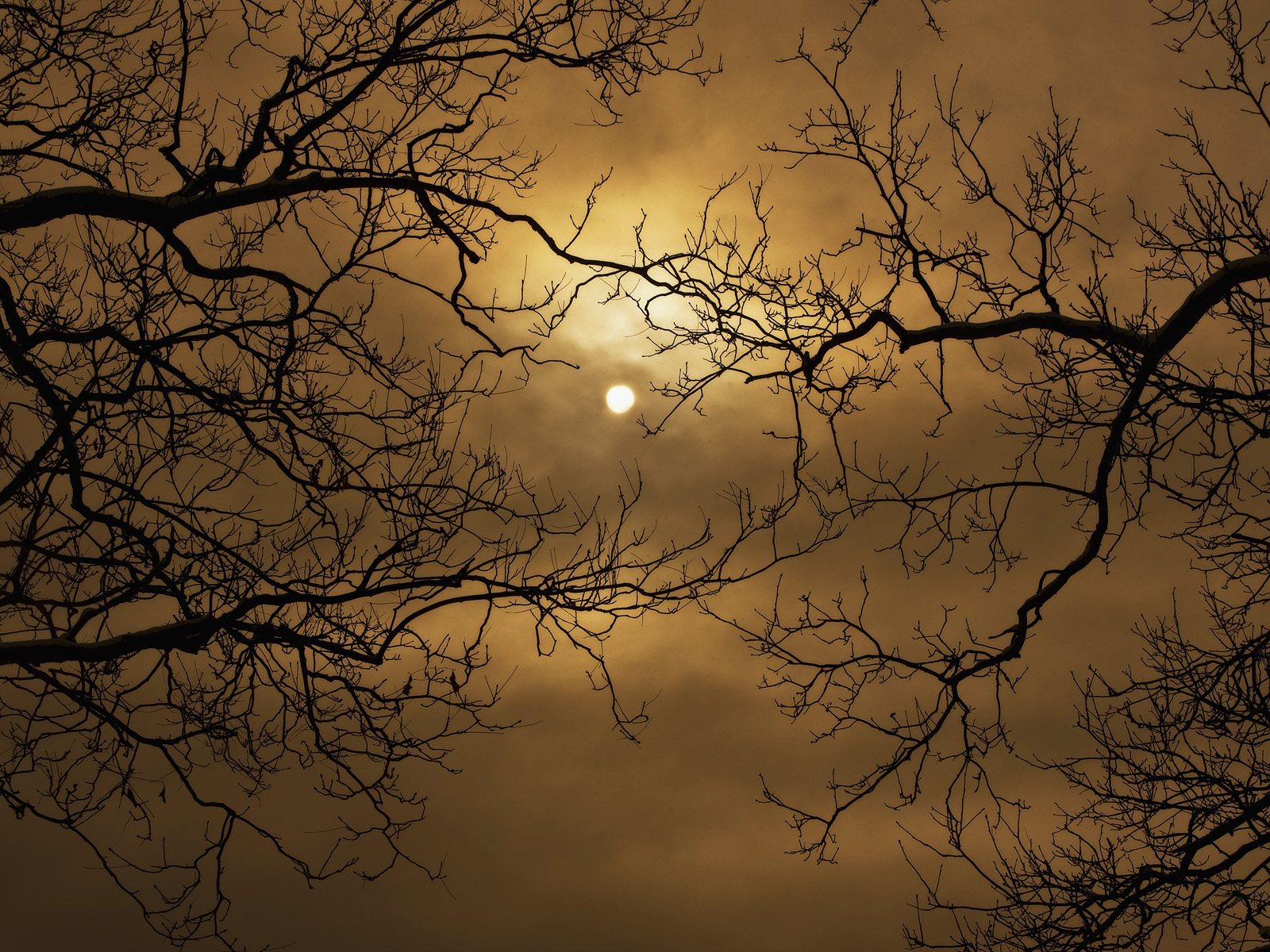 Harvest_Moon