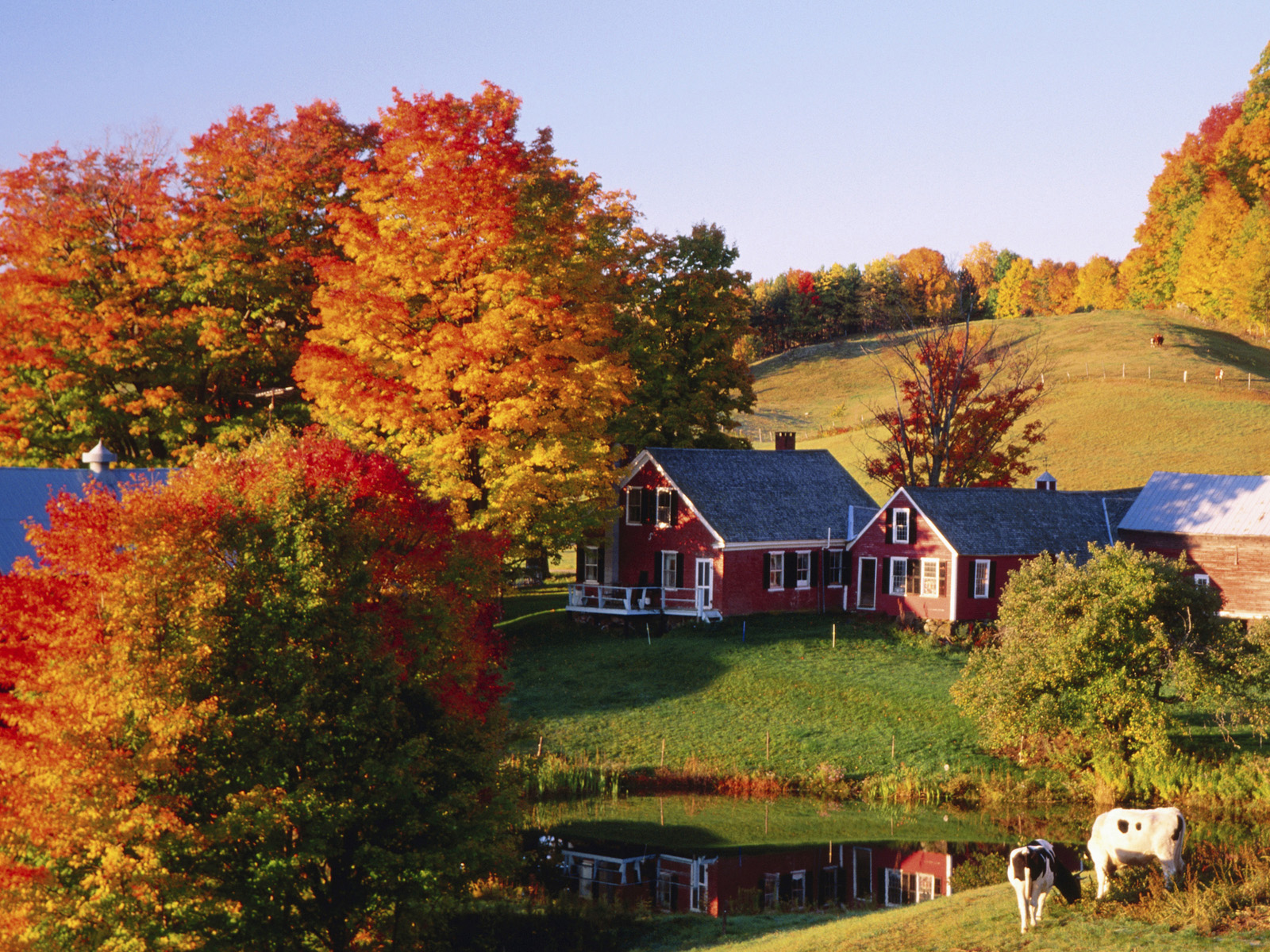 Jennes_Farm_in_Autumn_Vermont
