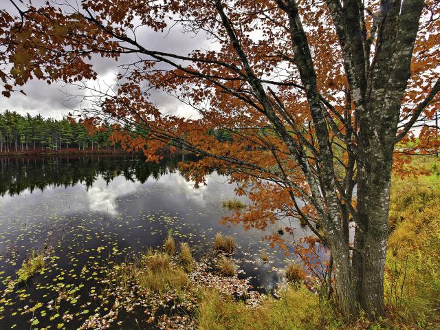 Lakeside_Color_Nova_Scotia_Canada