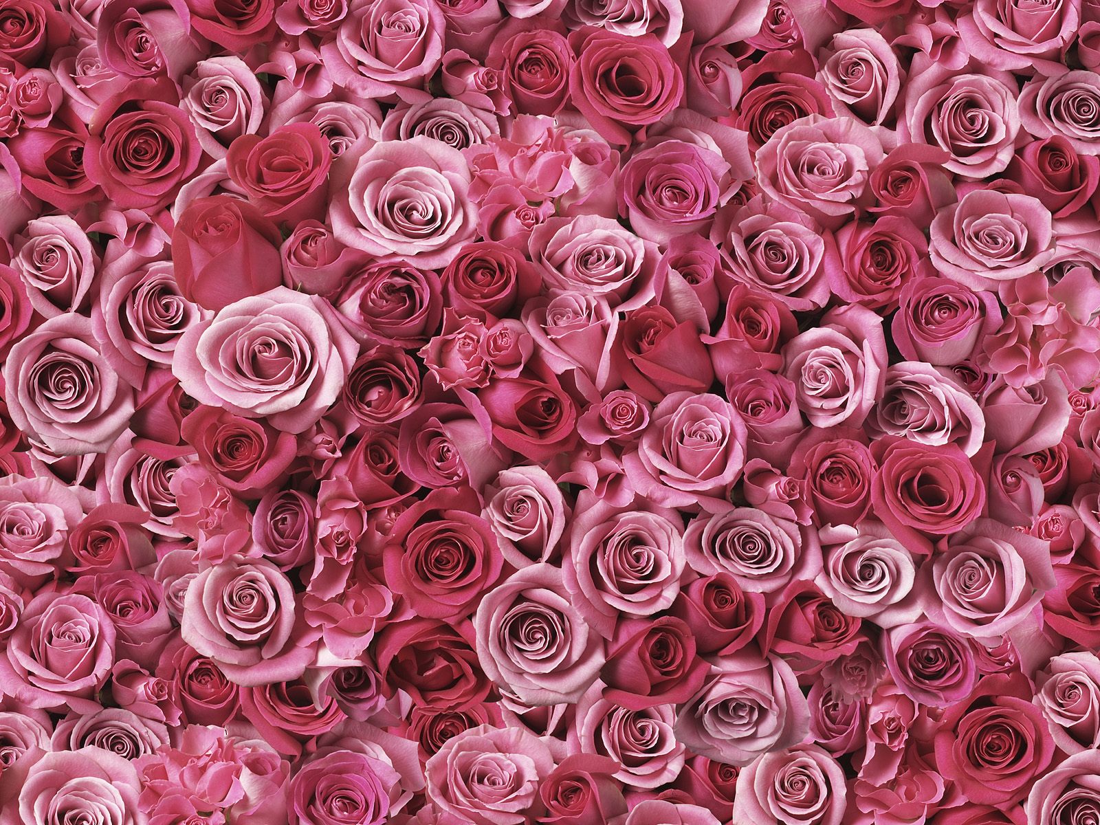 Spirals_of_Love