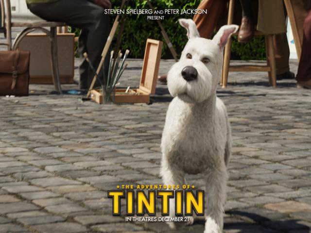 Tintin_15