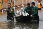 thai_flood_54_036