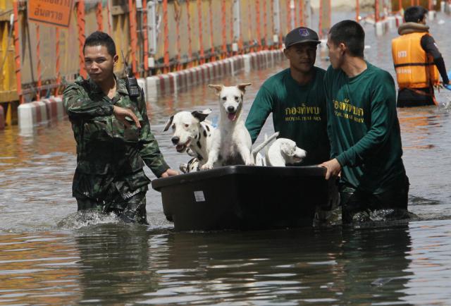 thai_flood_54_036