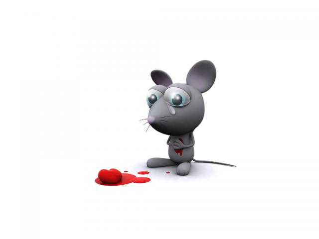 3D_Animals_06