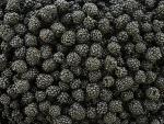 Blackberries