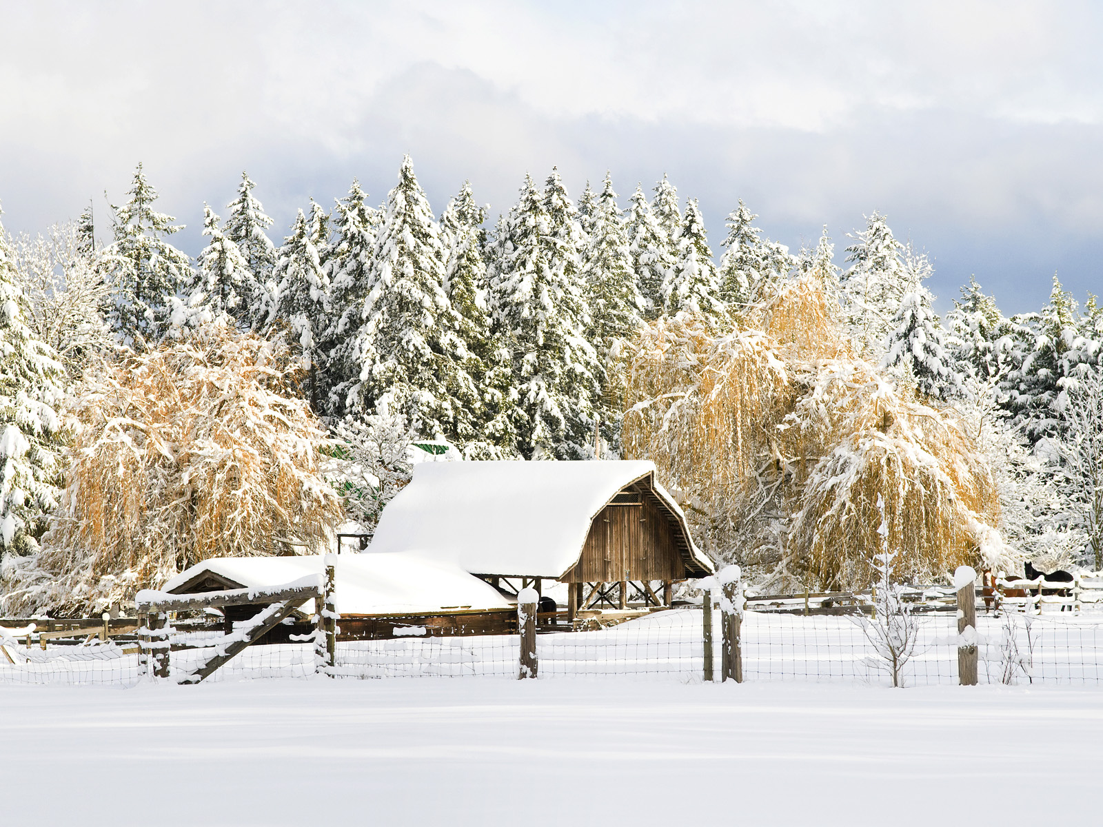 Christmas_in_Country