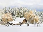 Christmas_in_Country