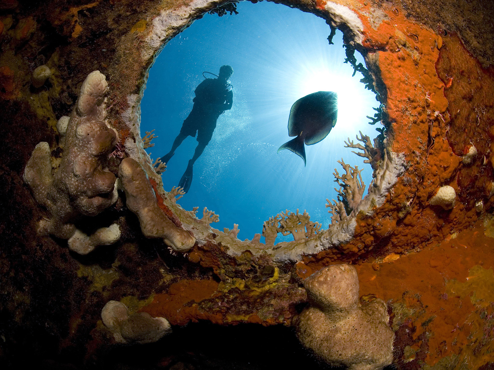 Shipwreck_Diving
