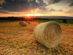 Summer_Sunset1