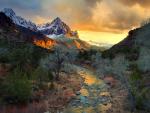 View_From_Watchman