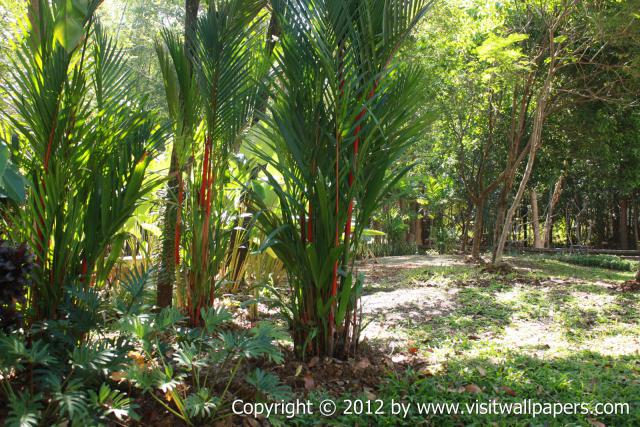 waphukaew12_029