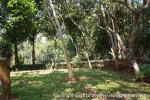 waphukaew12_038