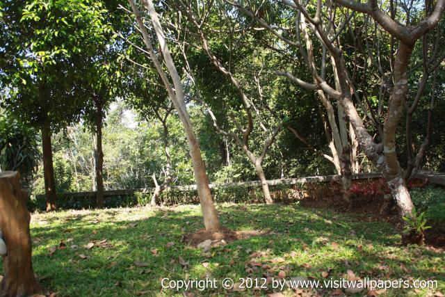 waphukaew12_038