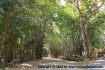 waphukaew12_048