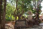 waphukaew12_054
