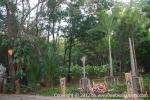 waphukaew12_158