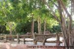 waphukaew12_186