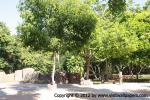 waphukaew12_192