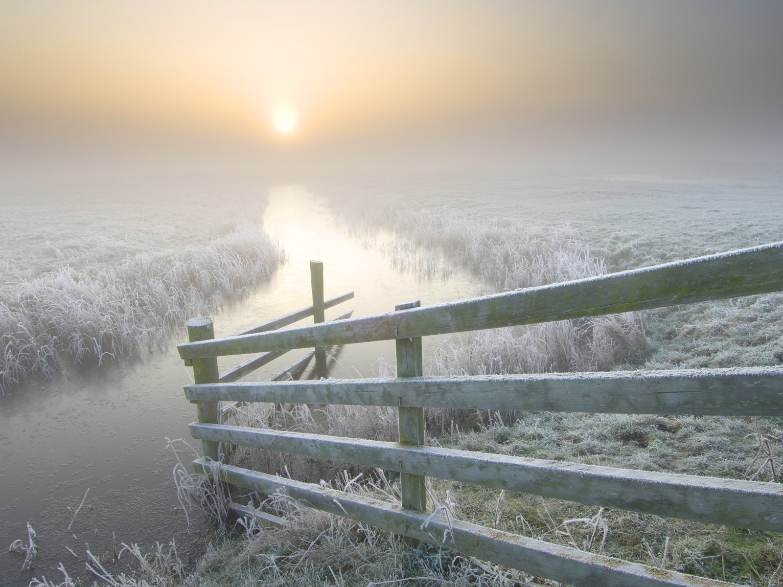 Foggy_Sunrise