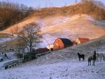 Hodges_Farm_Baird