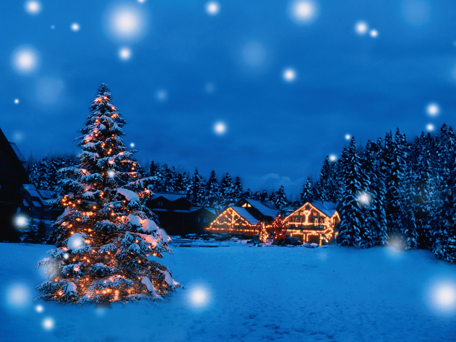 Holiday_Illuminations