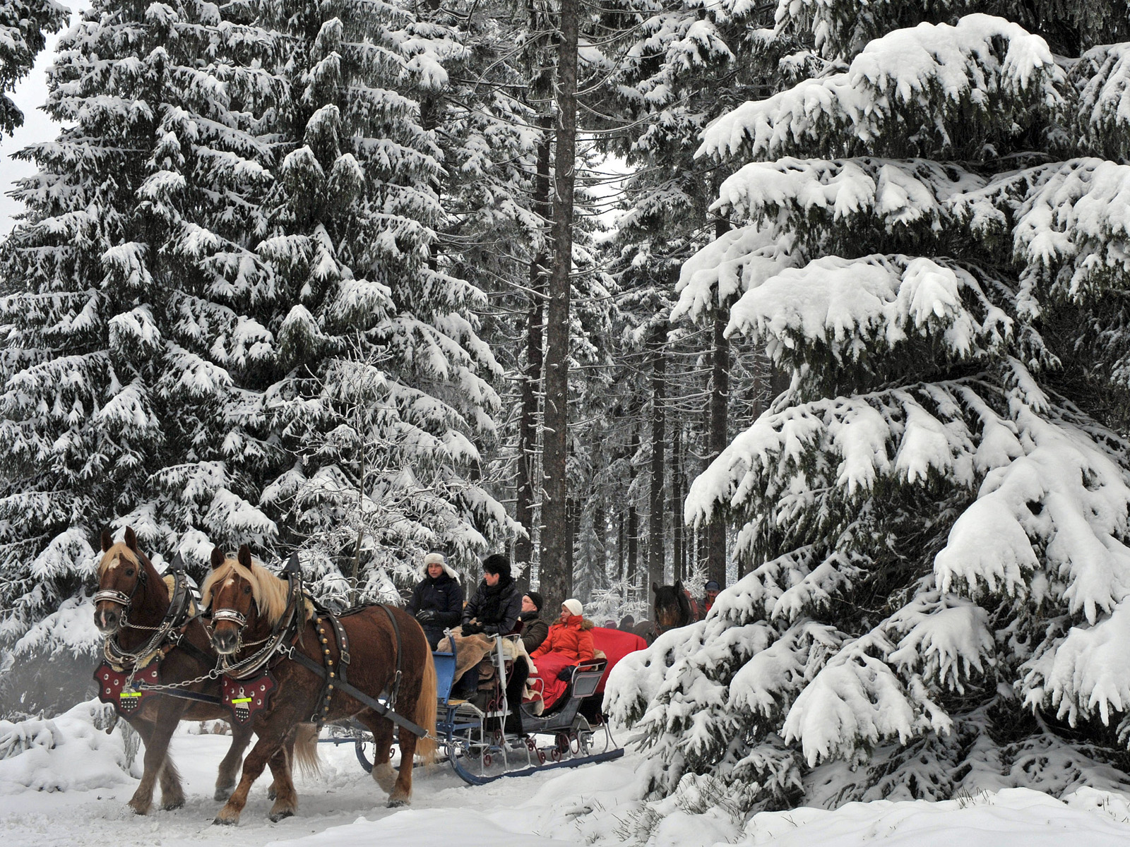 Horse-Drawn_Sleigh