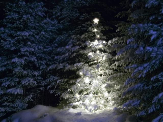 Let_it_Snow