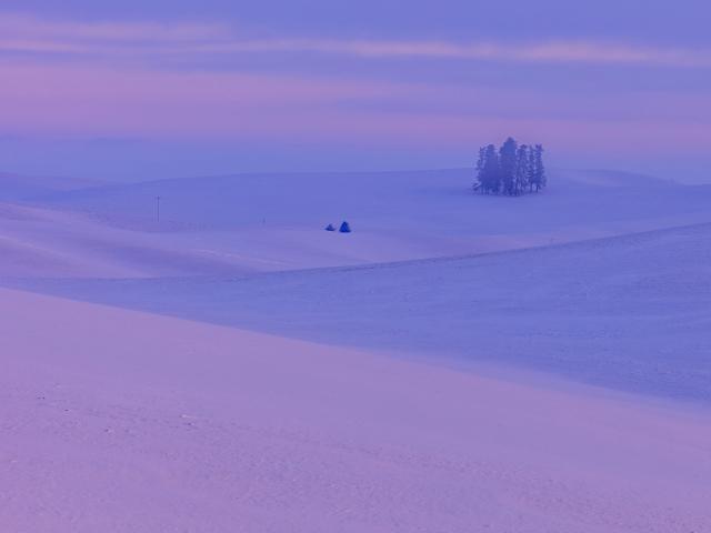 Lone_Tree_Hill