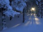 Peaceful_Season