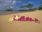 Polynesian_Paradise