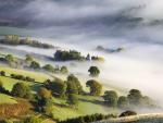 Mist_Covered_Valley