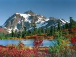 Snoqualmie_Forest