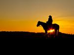Wyoming_Cowboy