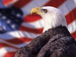 American_Eagle