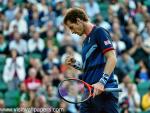 Andy_Murray_22