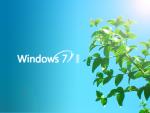windows_7_381